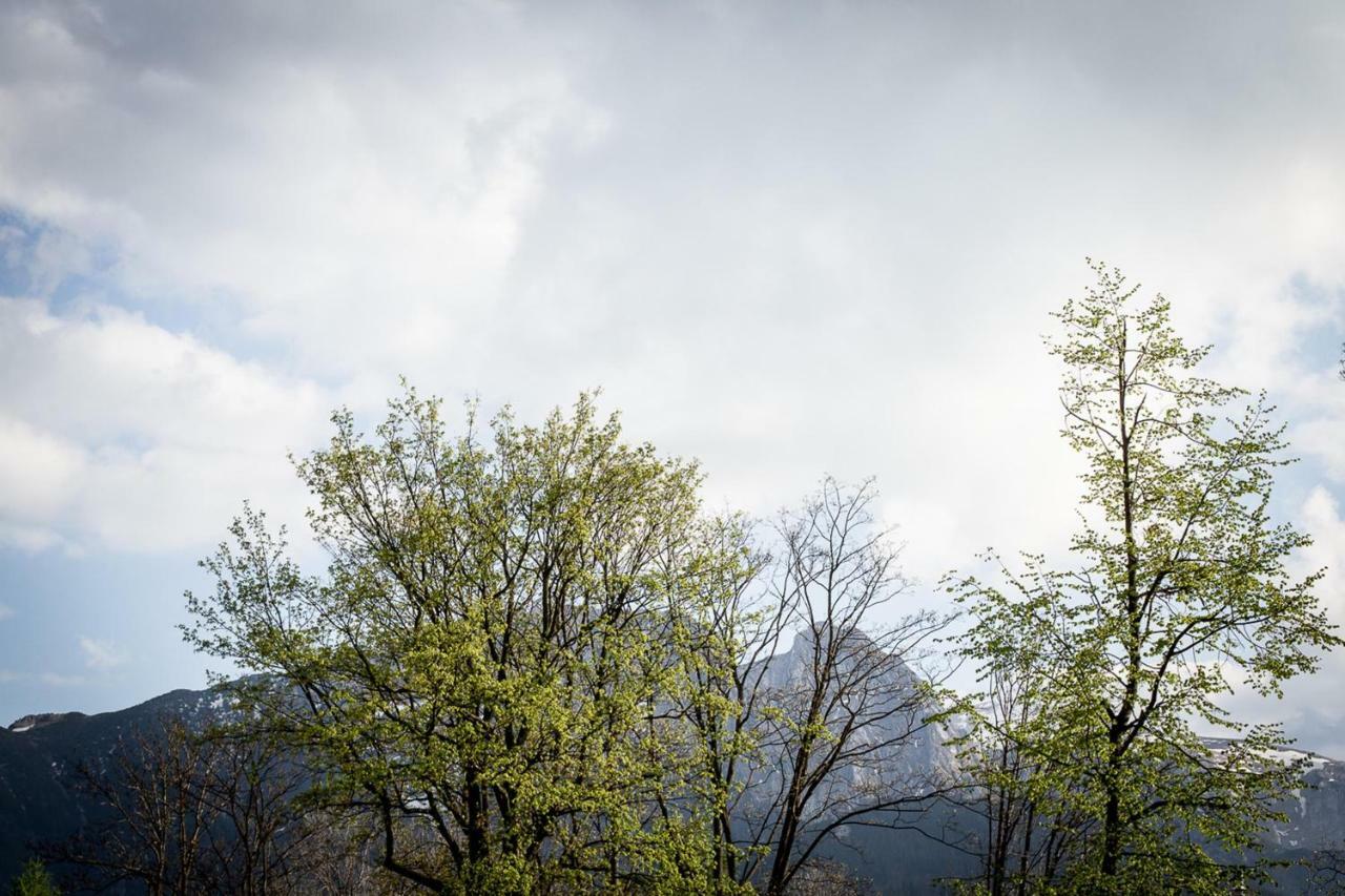 Gorski Klimat Zakopane Buitenkant foto
